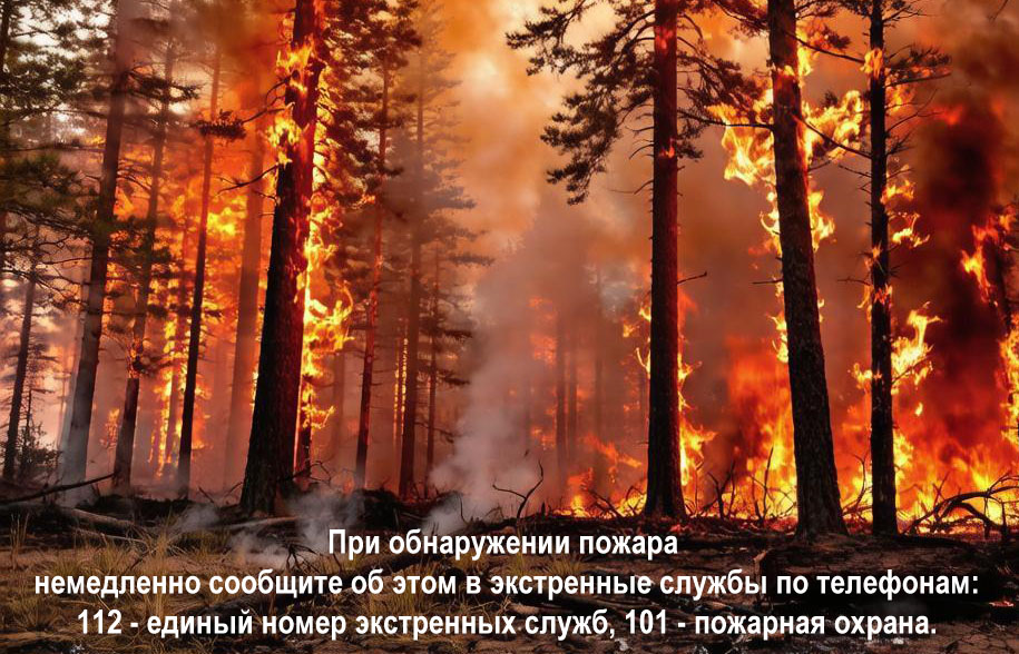 Штрафы за нарушение правил пожарной безопасности выросли